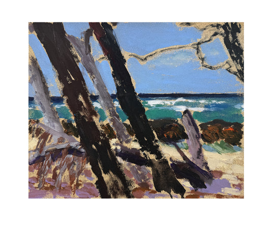 Nose To The Wind, Bath Beach, Barbados